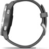 Умные часы Garmin Vivoactive 4 (серый/серебристый)
