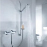 Смеситель Hansgrohe Ecostat 13116000