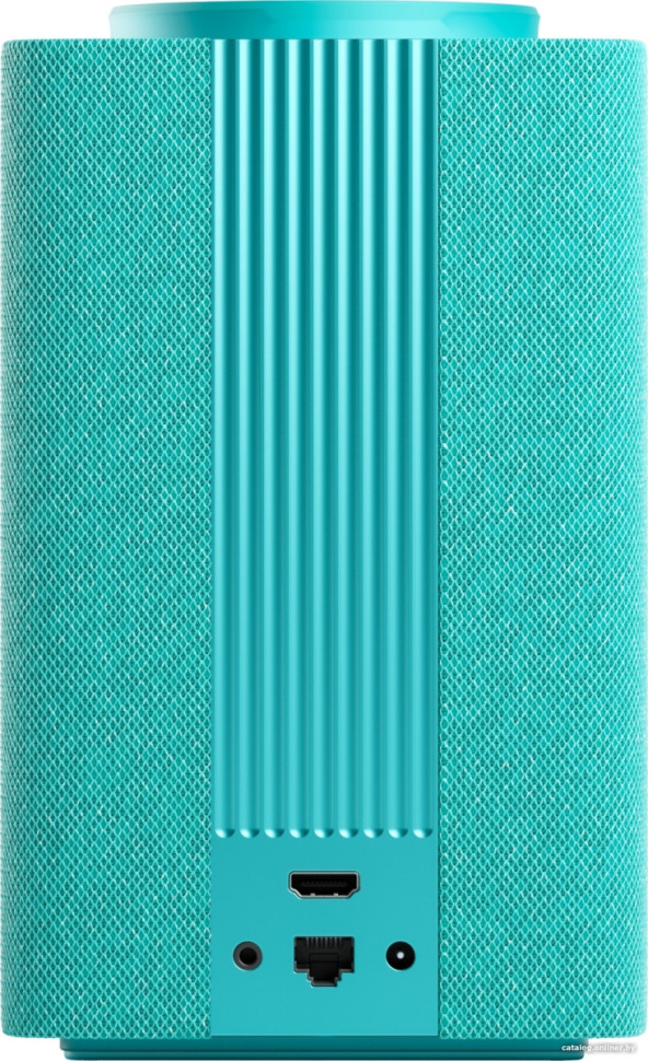 Умная колонка Яндекс Станция Макс (с хабом умного дома Zigbee, бирюзовый) Умная колонка Яндекс Станция Макс (с хабом умного дома Zigbee, бирюзовый)