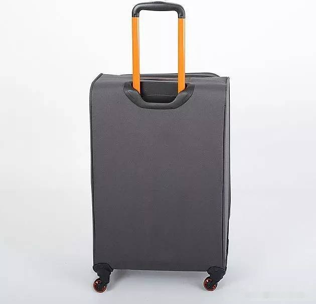 Чемодан-спиннер Francesco Molinary 270-29111/3-24 (серый)