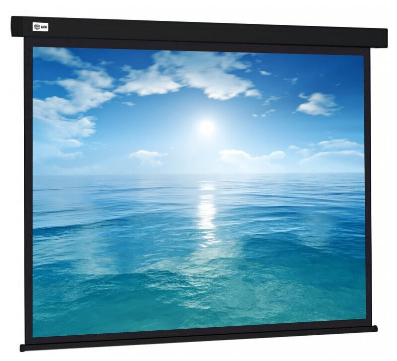 Проекционный экран Cactus Wallscreen 213x213 CS-PSW-213X213-BK
