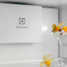 Холодильник Electrolux ENTMUSP8S