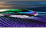 Телевизор Sony XR-83A90J