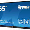 Информационная панель IIYAMA ProLite TE5503MIS-B2AG