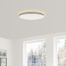 Люстра-тарелка Yeelight Halo Ceiling Light YLXD50YL