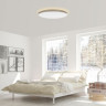 Люстра-тарелка Yeelight Halo Ceiling Light YLXD50YL