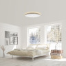 Люстра-тарелка Yeelight Halo Ceiling Light YLXD50YL