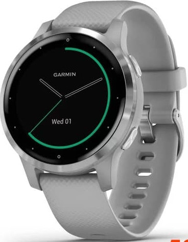 Умные часы Garmin Vivoactive 4s (серый/серебристый)