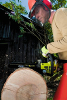 Бензопила Ryobi RCS5145B