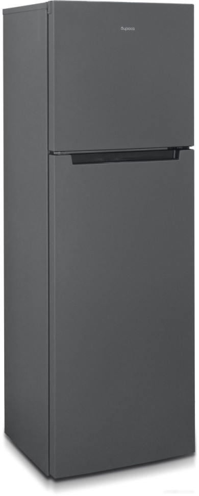 Холодильник Бирюса W6039 Холодильник Бирюса W6039