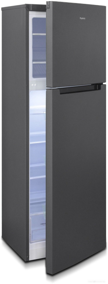 Холодильник Бирюса W6039 Холодильник Бирюса W6039