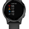 Умные часы Garmin Vivoactive 4s (черный/серый)