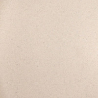 Кухонная мойка Wisent 480-30WR (с сифоном GER013)