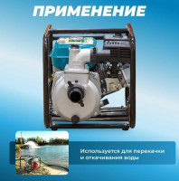 Бензиновая мотопомпа Eco WP703C