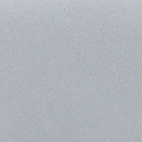 Кухонная мойка Wisent 510-29W (с сифоном GER013)