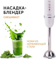 Блендер RED Solution RHB-2989
