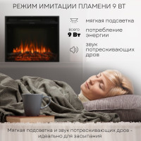 Камин PLANTA PFP-INS030