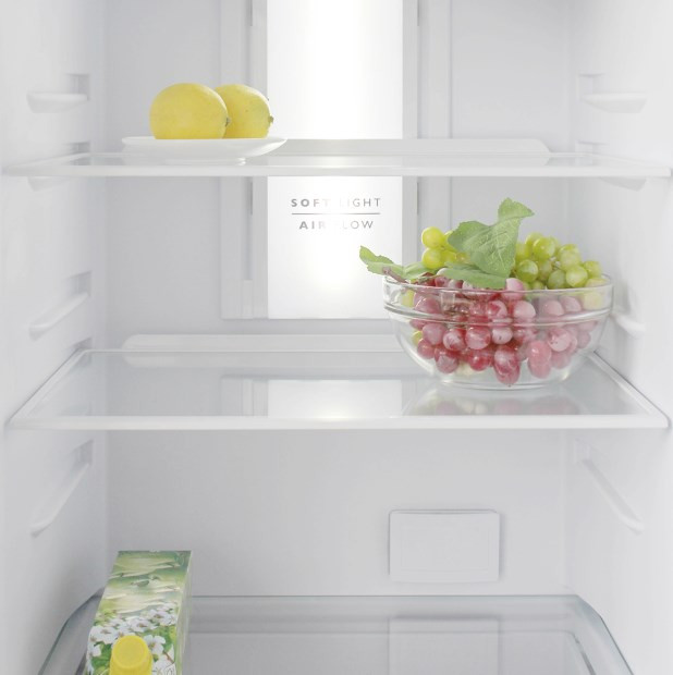 Холодильник с морозильником Бирюса G960NF