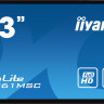 Информационная панель IIYAMA T4361MSC-B1