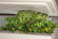 Морозильный ларь Pozis FH-255