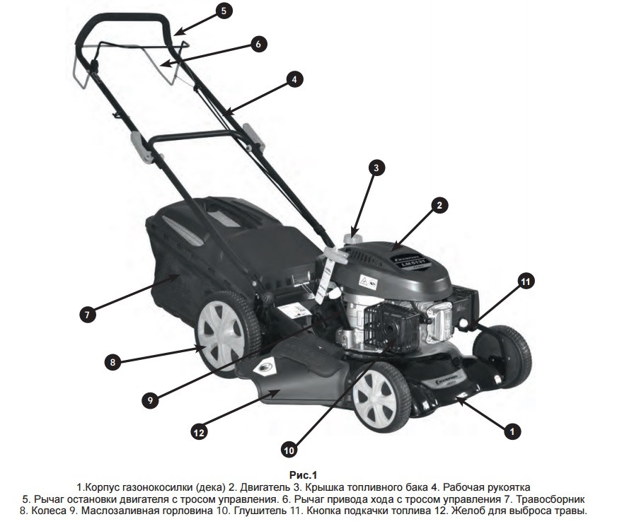 Бензиновая газонокосилка Champion LM5131 Бензиновая газонокосилка Champion LM5131