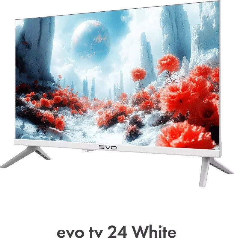 Телевизор Evo TV 24 White TD0051748RU