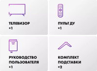 Телевизор Evo TV 24 White TD0051748RU