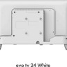 Телевизор Evo TV 24 White TD0051748RU