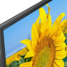 Телевизор Sony KD43XF8096