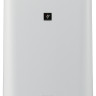 Очиститель/увлажнитель воздуха Sharp KC-D51RW Очиститель/увлажнитель воздуха Sharp KC-D51RW