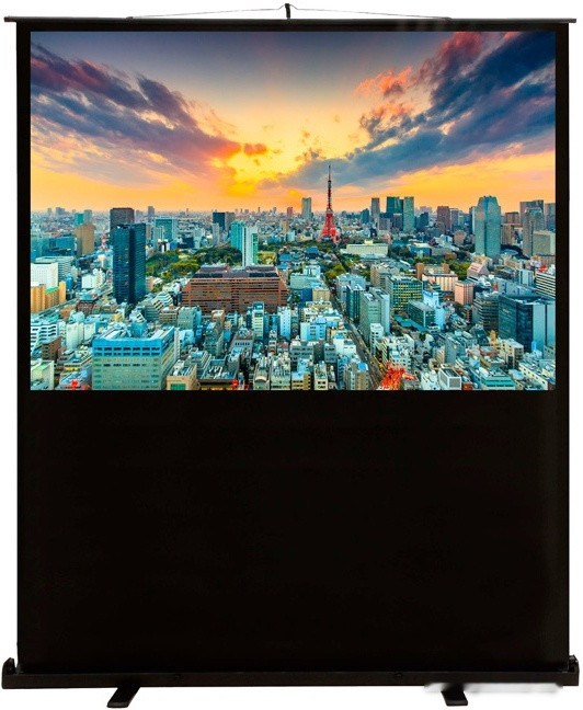 Проекционный экран Cactus FloorCompactExpert 120x160 CS-PSFLCE-160X120