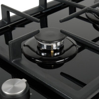 Варочная панель Making Oasis Everywhere P-GBD