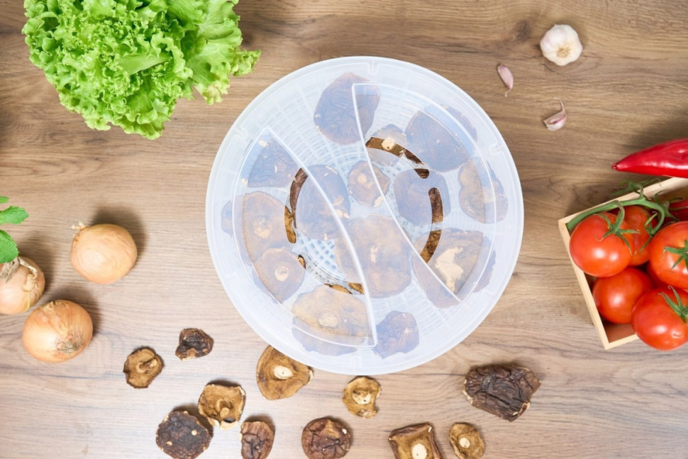 Сушилка для овощей и фруктов Zelmer ZFD2020