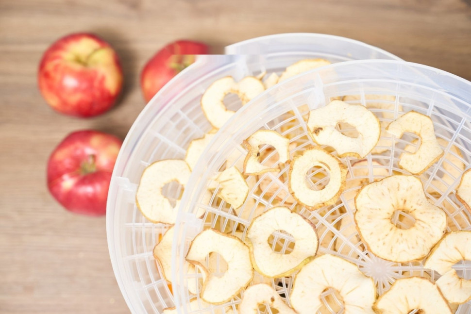 Сушилка для овощей и фруктов Zelmer ZFD2020