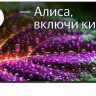 Телевизор BBK 50LED-8249/UTS2C Телевизор BBK 50LED-8249/UTS2C