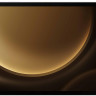 Планшет Samsung Galaxy Tab S9 FE+ 5G SM-X616 12GB/256GB (серебристый) Планшет Samsung Galaxy Tab S9 FE+ 5G SM-X616 12GB/256GB (серебристый)