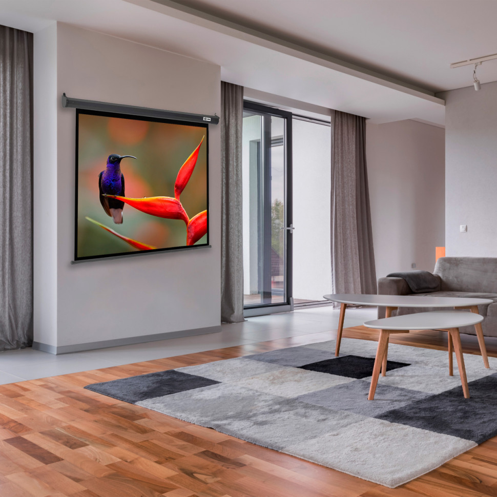 Проекционный экран Cactus SIlverMotoExpert 138x220 CS-PSSME-220X138-DG Проекционный экран Cactus SIlverMotoExpert 138x220 CS-PSSME-220X138-DG