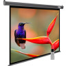 Проекционный экран Cactus SIlverMotoExpert 138x220 CS-PSSME-220X138-DG Проекционный экран Cactus SIlverMotoExpert 138x220 CS-PSSME-220X138-DG