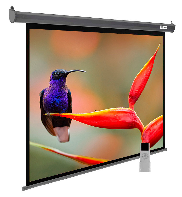 Проекционный экран Cactus SIlverMotoExpert 138x220 CS-PSSME-220X138-DG Проекционный экран Cactus SIlverMotoExpert 138x220 CS-PSSME-220X138-DG