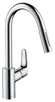 Смеситель Hansgrohe Focus 31815000