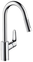 Смеситель Hansgrohe Focus 31815800