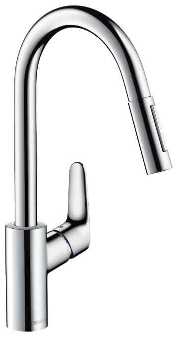 Смеситель Hansgrohe Focus 31815800