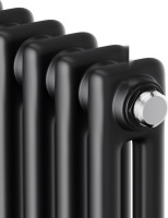 Радиатор Royal Thermo Insignia C2180 - 08 секций RAL9005m