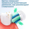 Электрическая зубная щетка Philips 1100 Series HX3641/11 Электрическая зубная щетка Philips 1100 Series HX3641/11