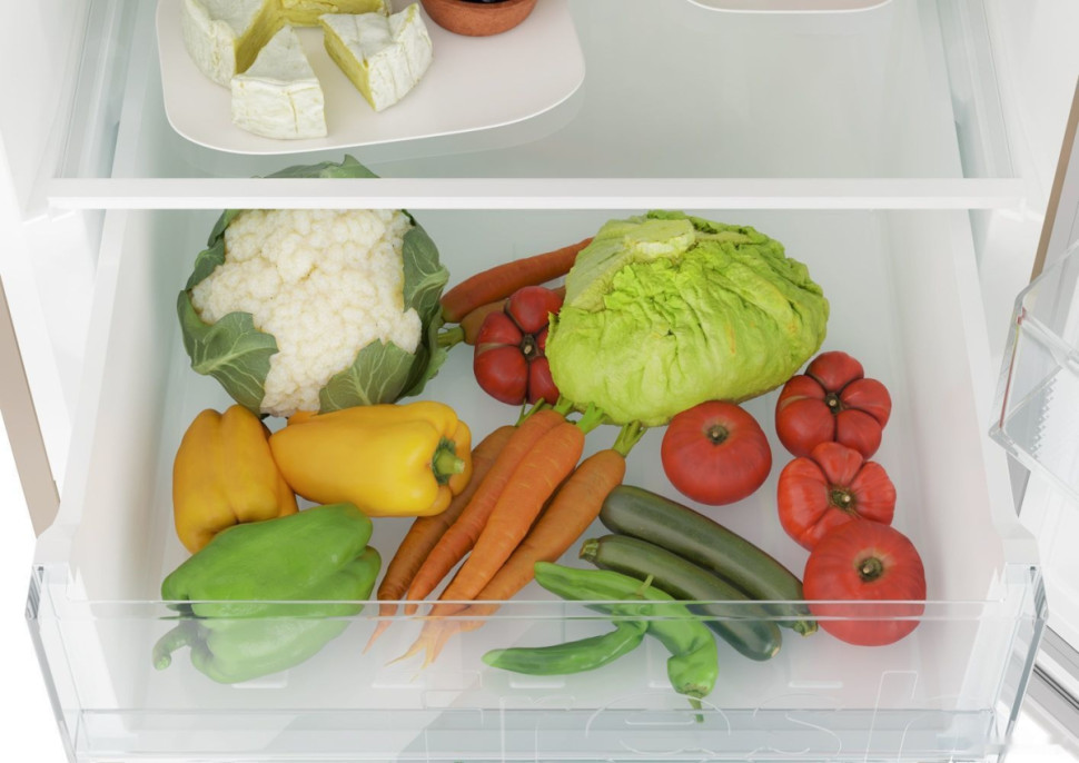 Холодильник Candy CCRN 6200G