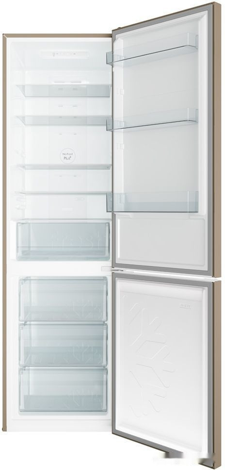 Холодильник Candy CCRN 6200G