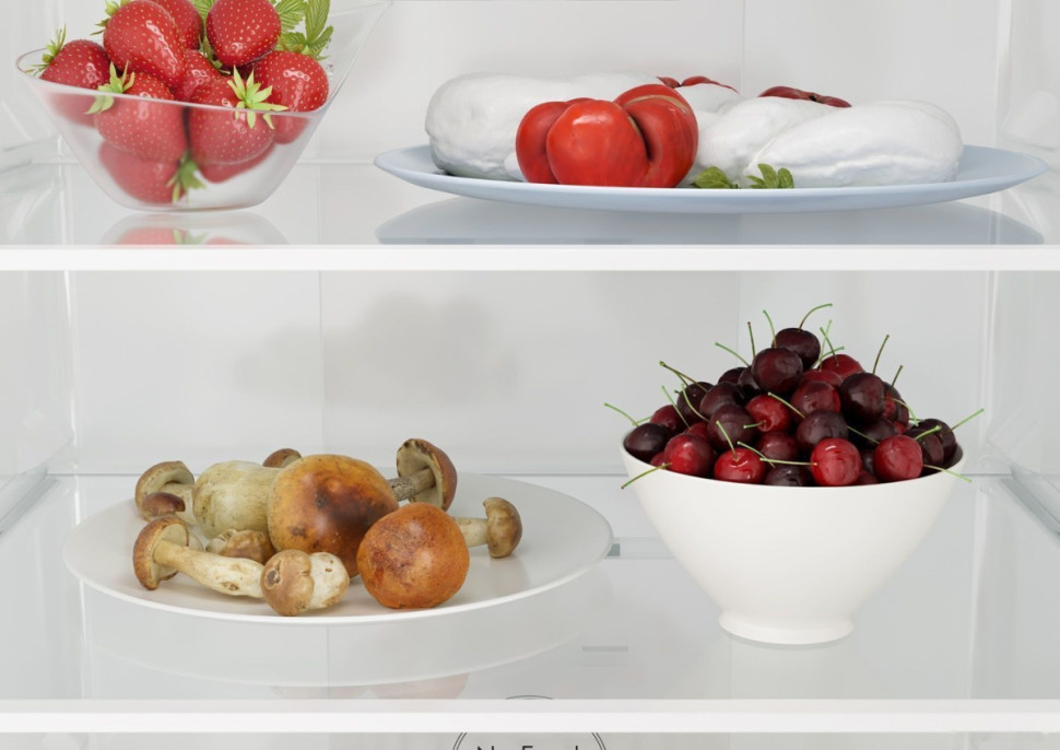 Холодильник Candy CCRN 6200G