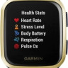 Умные часы Garmin Venu Sq Music (темно-синий)
