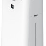 Очиститель/увлажнитель воздуха Sharp KC-G41RW