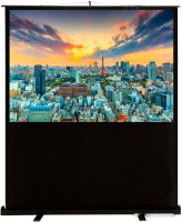 Проекционный экран Cactus FloorCompactExpert 68x120 CS-PSFLCE-120X68